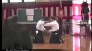 Hoki Ryu Embu