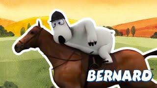 Bernard vs. The Horse: Who’s the Real Boss?  | Full Episodes | VIDEOS and CARTOONS FOR KIDS