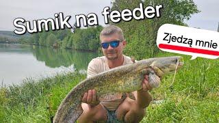 Sumik na feeder, Jak wyciagnąc rybę z zaczepu