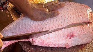 I Never Seen!!! Giant Rohu Fish Cutting Live In Fish Market | Fish Cutting Skills