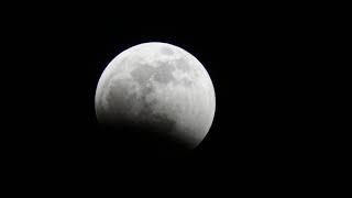 Vicarious Life: Lunar Eclipse 2019
