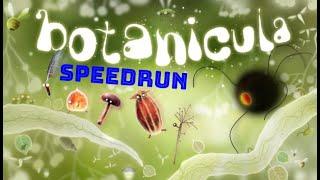 Botanicula Any% Speedrun - Former World Record!!! (36:21.300)