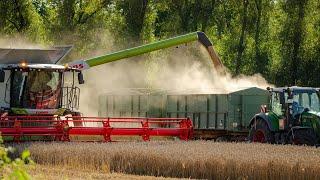 A DAY ON THE FIELD HARVESTING GRAIN, CANADA