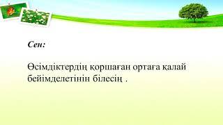 3 класс Жаратылыстану   Тақырыбы: Өсімдікке жарық қалай әсер етеді?