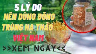 5 Lý Do Nên Mua Đông Trùng Hạ Thảo Việt Nam Nuôi Cấy Thay Vì Sản Phẩm Từ Trung Quốc