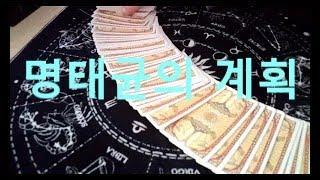 명태균 의 진짜 계획. 왜 박주민의원  을 선택했나?