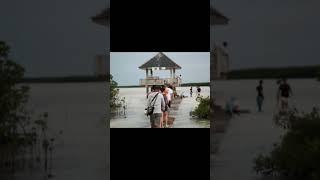 Cebu Philippines Palawan#youtubeshorts #viral #shorts