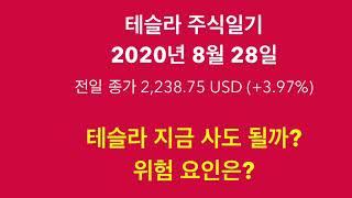 테슬라 주식일기 20년 8월 28일 - 테슬라 지금 사도 될까? 위험 요인은?