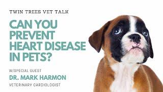 How To Prevent Heart Disease In Dogs And Cats │Twin Trees Vet Talk (FREE VET ADVICE PODCAST)