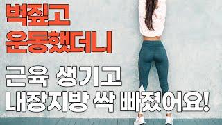 벽 짚고 운동했더니 근육 생기고 뱃살, 내장지방 싹 빠집니다! 40대, 50대 [뱃살빼는운동,  내장지방 빼는 운동, 뱃살빼는 최고의 운동, 벽짚고 운동, 벽운동]