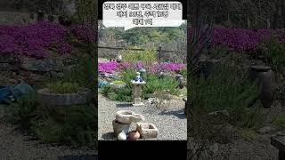 경북 경주 예쁜 구옥 촌집 매매 시골집 매매