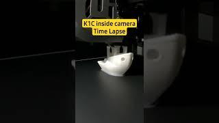 K1C inside camera Time laps