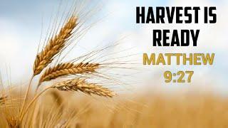Keep Focus on the Main Thing - The Harvest is Ready, The Labourers are Few