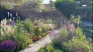 Summer in the Garden (mid-June garden tour) | Perennial Garden