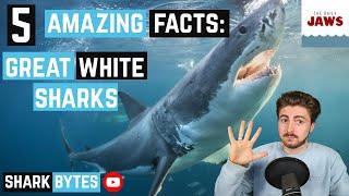 5 AMAZING facts about Great White Sharks!