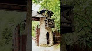 #tower  #карпати