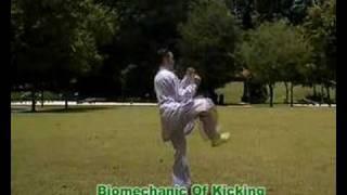 Wushu Kicks - 武术腿法