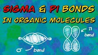 Sigma and Pi Bonds in Organic Molecules