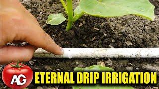 Eternal drip irrigation with your own hands! Make yourself one