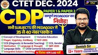 CTET CDP Marathon | CTET Subject Pedagogy Marathon by Danish Sir | CTET CDP 2024