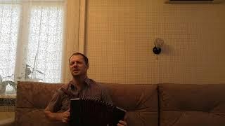 Недавно и давно.Песня под гармонь.Николай Анатольевич.Гармонист