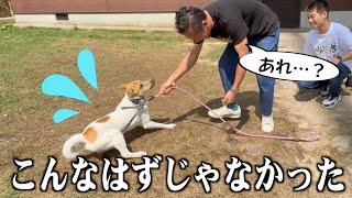 日本一のドッグトレーナーが犬に全力で嫌われる…その理由とは？