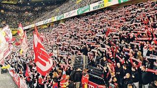 BEST OF * 8.000 Bayern Fans feiern 4-0 in Dortmund | Bundesliga November 2023