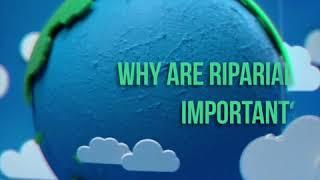 Why Riparian Areas are Important