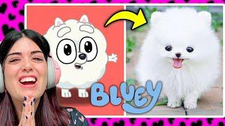 BLUEY en la VIDA REAL