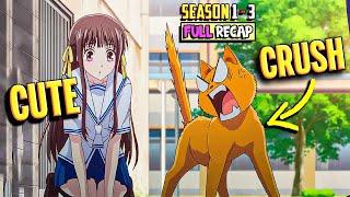 Her Crush Turns Into aCat Every Time She Approaches Him Fruits Basket All Seasons