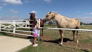 Welcome to Sandbrock Ranch, Aubrey Texas