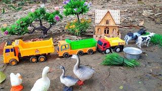 mini tractor, cattle, tractor, animal video, matikata, cartoon video, Jcp gadi | Mar 6, 202511:36 AM