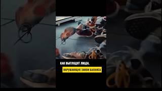 КАК ВЫГЛЯДЯТ ЛЮДИ, НАРУШАЮЩИЕ ЗАКОН БАЛАНСА? Больше на канале: https://t.me/Saint_Graal