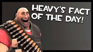 Heavy's Fact of The Day!