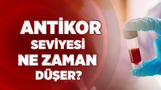 Antikor Seviyesi Ne Zaman Düşer? | Haber