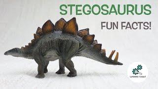 STEGOSAURUS FACTS | Fun & Educational | Dinosaurs For Kids | Best Dinosaur Facts