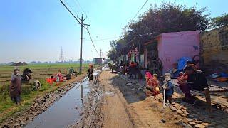 Some Villages Of India Should Be Seen [] Most Poor Village In Uttar Pradesh, India [] Real Life..