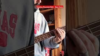 Smokey Mountain Rain - Bass Cover #ronniemilsap #basscover