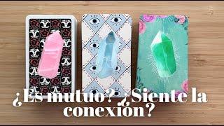 ¿SIENTE LA CONEXION?  Elige un mazo y descubre si es mutuo   #tarot #tarotinteractivo