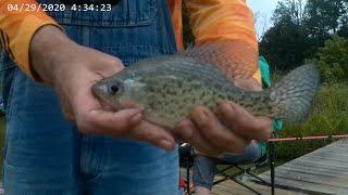 spring fever volume 3 Pebo and Robbyn catching fish at the Pond