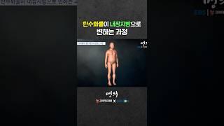 탄수화물 과다섭취가 문제 되는 이유