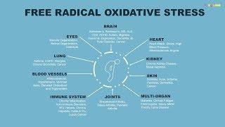 How can we overcome oxidative stress?