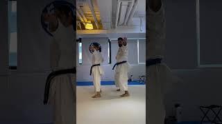 GEIKISAIDAI NI KATA GOJU RYU WITH GRACE LAU