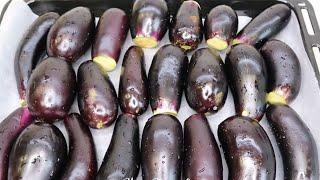 БАКЛАЖАНЫ - 6 самых вкусных рецептов - на праздник и на каждый день - понравится всей семье!