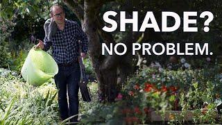 The 8 Best Ways to Grow in Shade