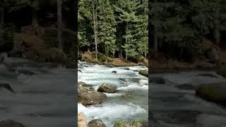 Nature Photography | Subhanallah Kashmir photo gallery #timelapse #kashmir  #scenery #pahalgam #life