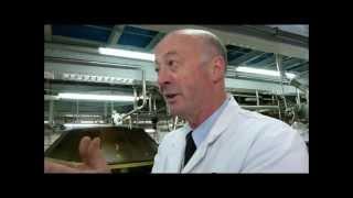 Shepherd Neame Brewery Tour | Britain's Oldest Brewery At 1698