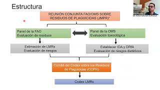 Colaboración de la FHIA en la definición de límites máximos de residuos de plaguicidas agrícolas.