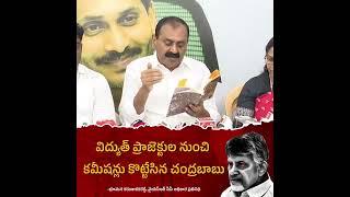 బయటకేమో విద్యుత్ రీఫార్మ్స్‌ అని ప్రైవేటీకరణ అని ప్రచారం చేసుకున్నాడని పుస్తకంలో చెప్పుకొచ్చారు.