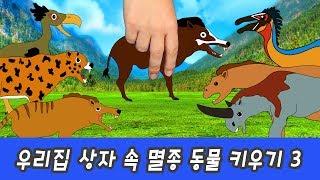 한국어ㅣ우리집 상자 속 멸종된 동물 키우기! 신생대 동물 이름 외우기, 멸종동물 특집, 컬렉타ㅣ꼬꼬스토이